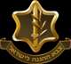סיכות,סמלים,תגים,כומתות הכל של צה"ל