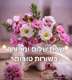 2 מולטי שף חשמלי