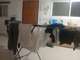 מתלה בגדים