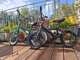 שני זוגות אופניים לילדים