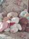 Peluche