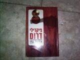 "פיקדילי דרום" של אדיבה גפן