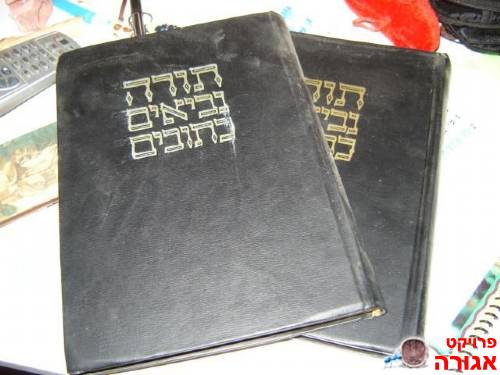 תנ"ך עם פירוש קאסוטו