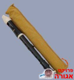 חלילית
