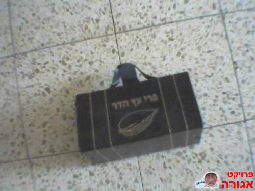 תיק לאתרוג{מתאים לחג סוכות}