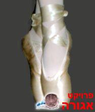 נעלי פוינט