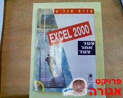 excel 2000