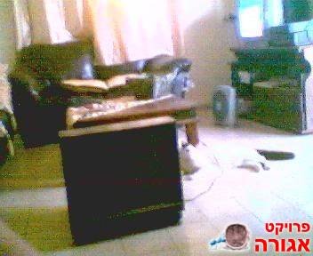 טלוויזיה 21 אינץ'
