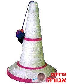 קונוס גירוד לחתול