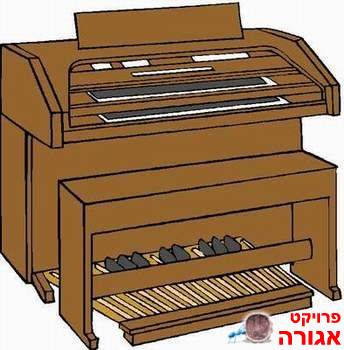 אורגן לבני 9-10-11