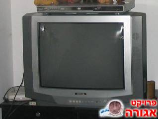 טלוויזיה