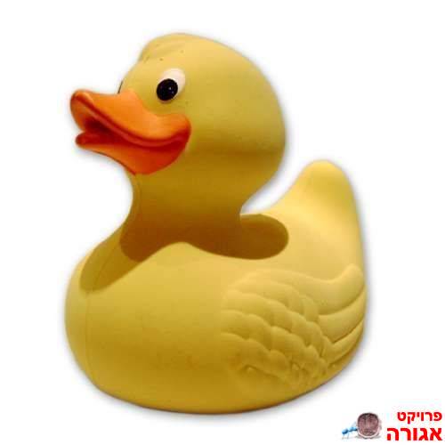 צעצועי אמבטיה