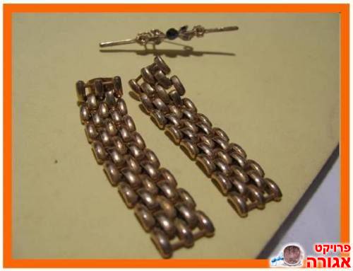 עגילים מוזהבים לחורים + סיכת דש
