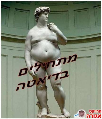 מכשירי כושר מכל סוג