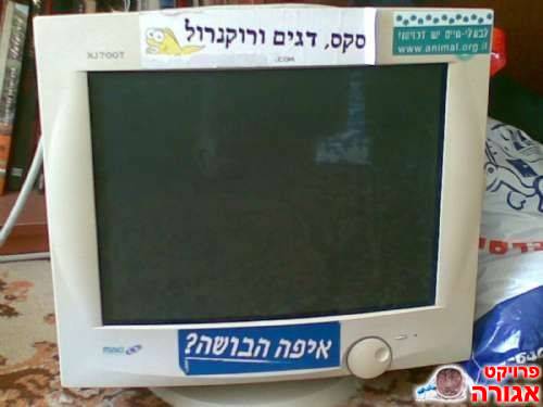 מסך מחשב MAG