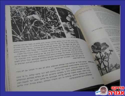 ספר "נופים וטבע"