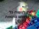 תוכי קוקטייל!
