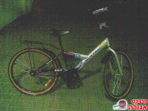 אופנים BMX למבוגרים