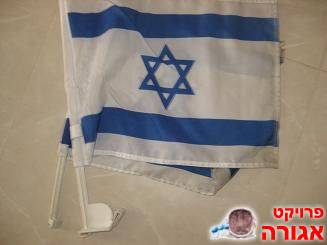 דגלי ישראל