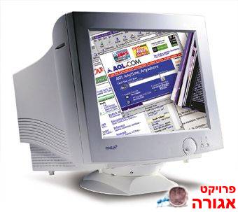 מסך מחשב 19" מאג