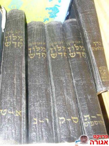 מילון חדש אבן שושן