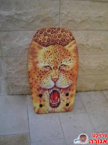 גלשן קלקר לילדים