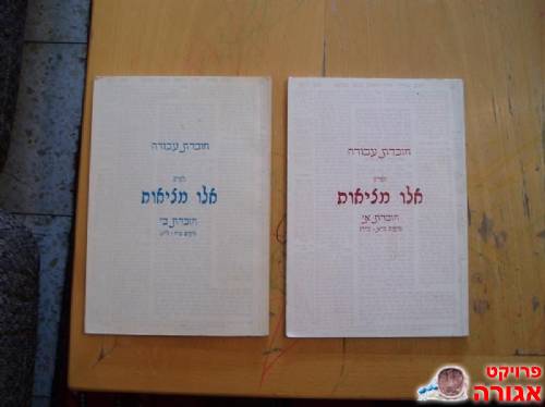חוברות-עזר ללימוד פרק "אלו מציאות"