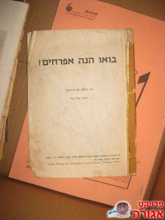 בואו הנה אפרוחים