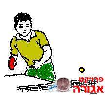 רשת לטניס שולחן