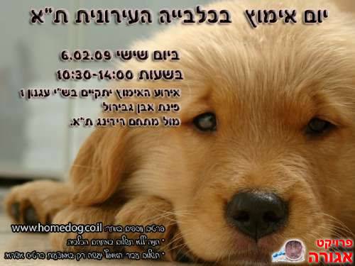 יום אימוץ - כלבים - שישי 6/2