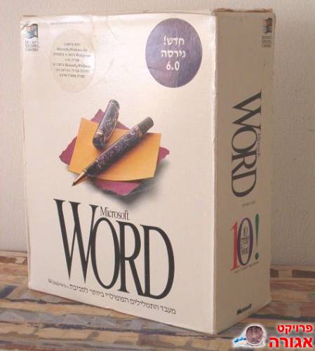 תוכנה Microsoft Word 6.0