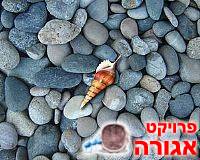 שידרוג קורות חיים