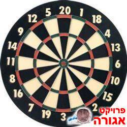 לוח קליעה למטרה