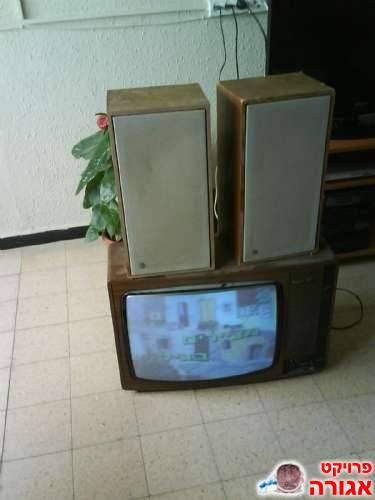 TV