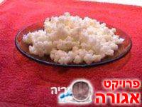פטריה טיבטית/יוגית/חלבית