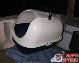 שירותים XL