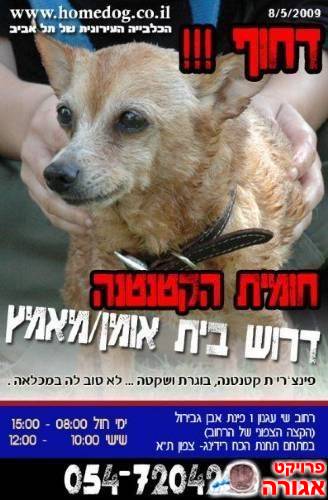 דחוףףף-פינצ'רית קטנה שלא טוב לה במכלאה