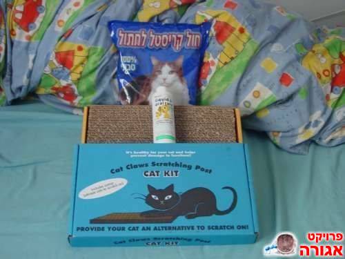 דברים לחתול