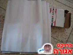 חגורת גב