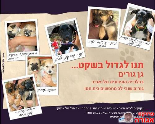 גורים מתוקים