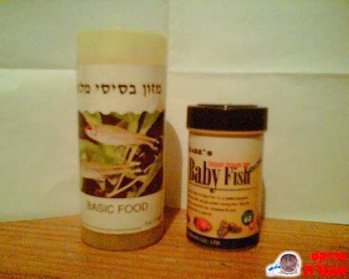 אוכל לדגים