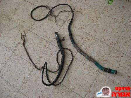 אבזירים לתחפושת
