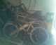 אופניים BMX