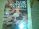 Book "In the footsteps of Moses"