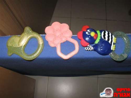 נשכנים