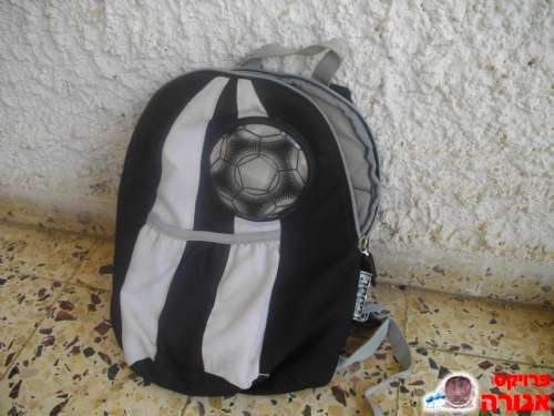 תיק גן