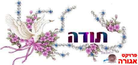 מבקשת מתנדב...