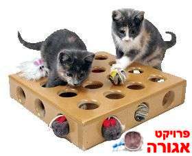 משחק לגורי חתולים