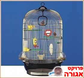 כלוב לציפורים