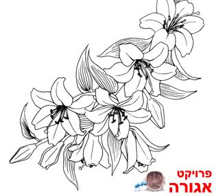 בגדי ילדות